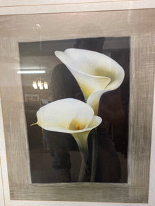 White calla lily picture in gold frame