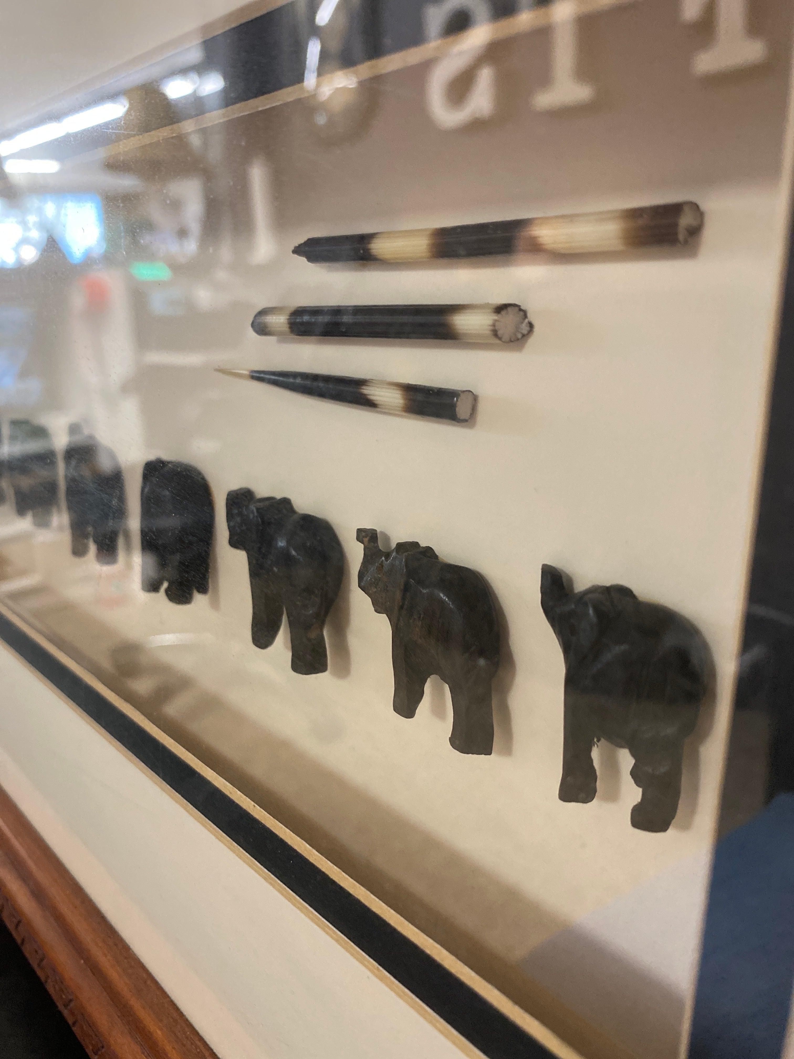 9in1 elephants / quills